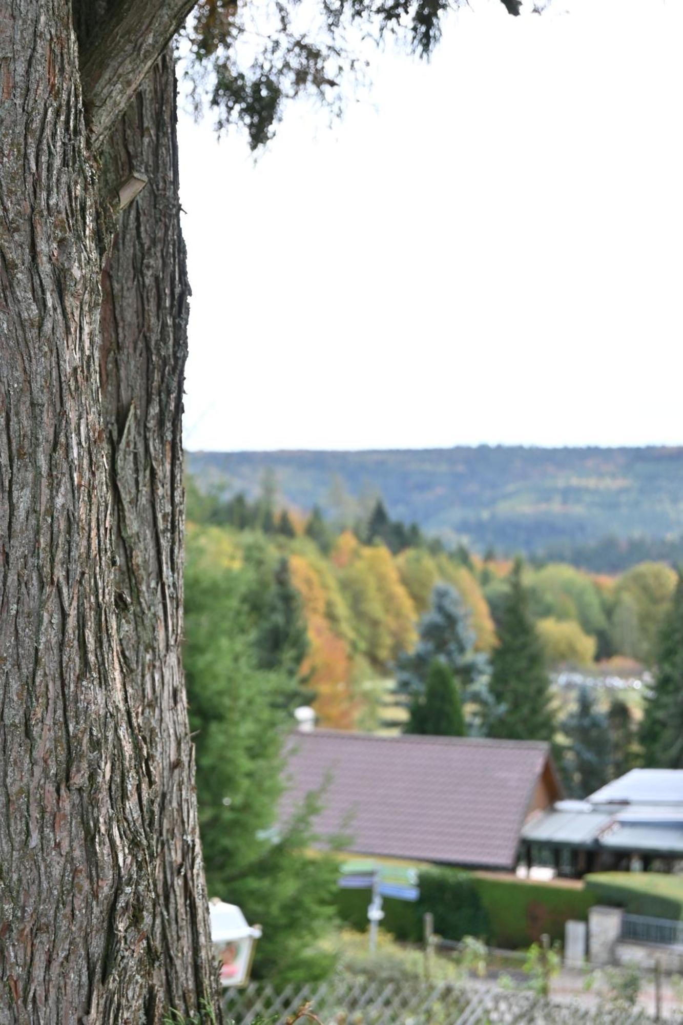 Hotel Talblick Dobel Exteriör bild