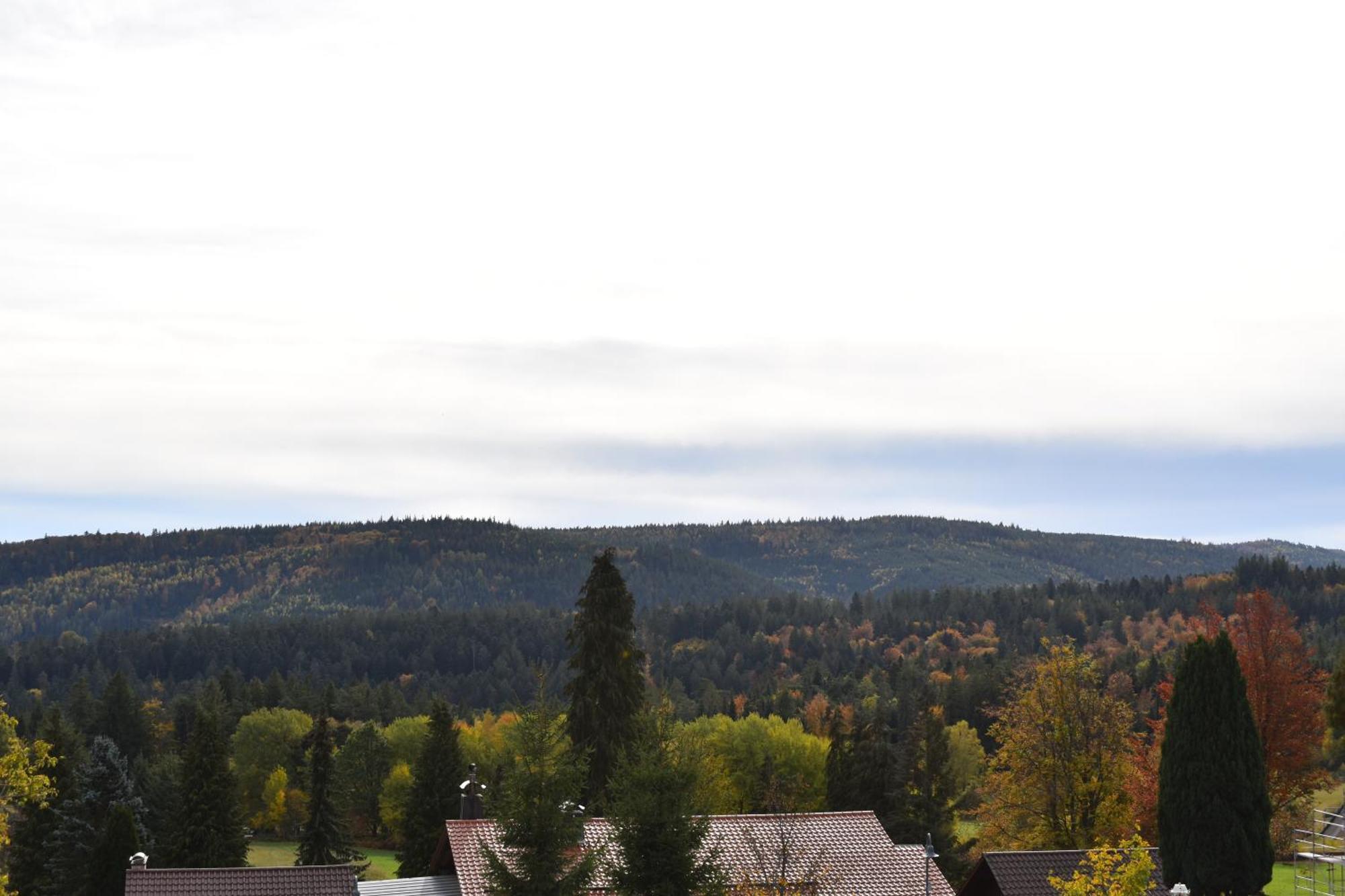 Hotel Talblick Dobel Rum bild